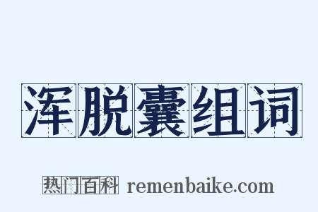 浑脱囊组词是什么意思的图片